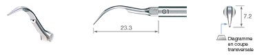 Scaling/G1 -varios