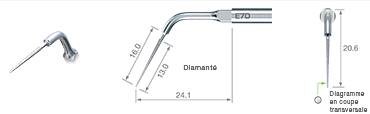 Endodontics/E7D -varios