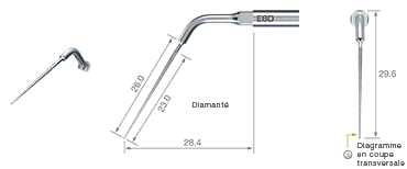 Endodontics/E8D -varios2