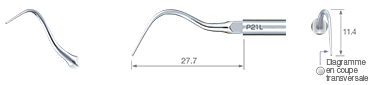 Perio/P21L -varios