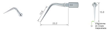 Endodontics/E4 -varios