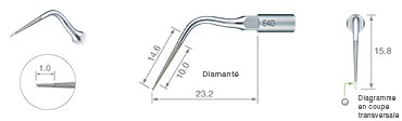 Endodontics/E4D -varios