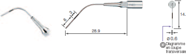 Perio (Irrigation And Cleanling)/P40 -varios